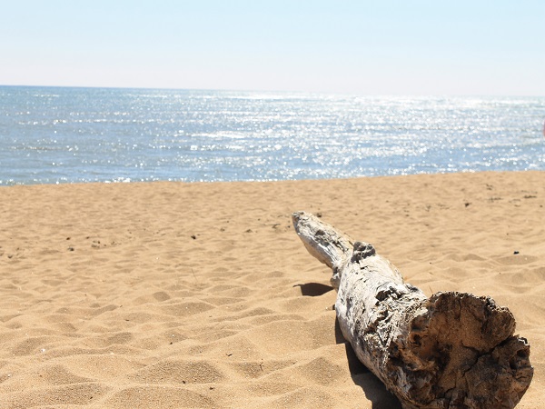 Plage de Charente-Maritime