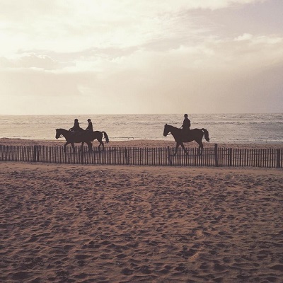 Chevaux plage