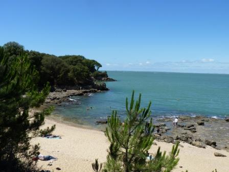 paysage charente maritime